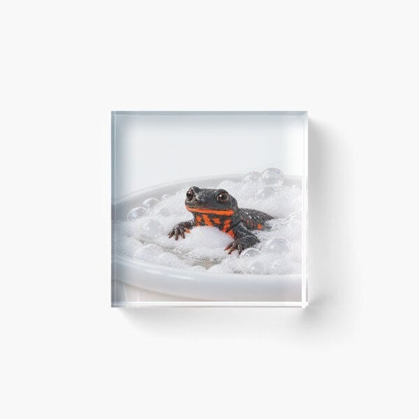 Item preview, Fire-Bellied Newt Bathtub designed and sold by Sillytoe.