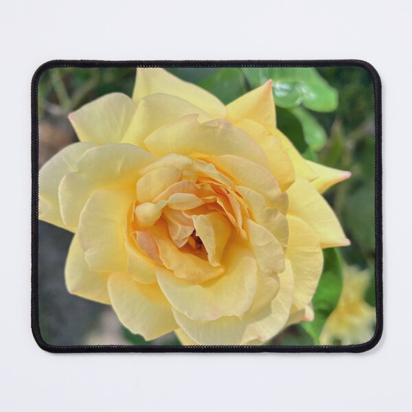 Item preview, Golden Yellow Garden Rose designed and sold by Be Captured by Brittany Emma.