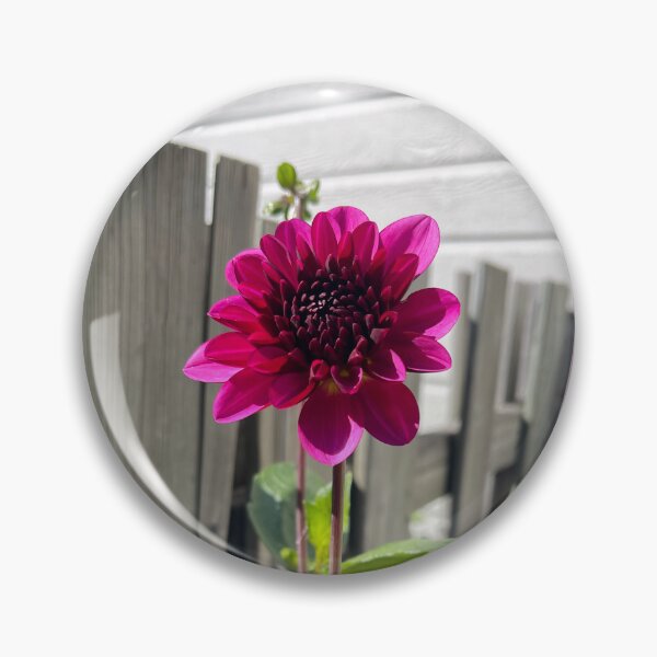 Item preview, Dark pink dahlia flower designed and sold by EleniA8.