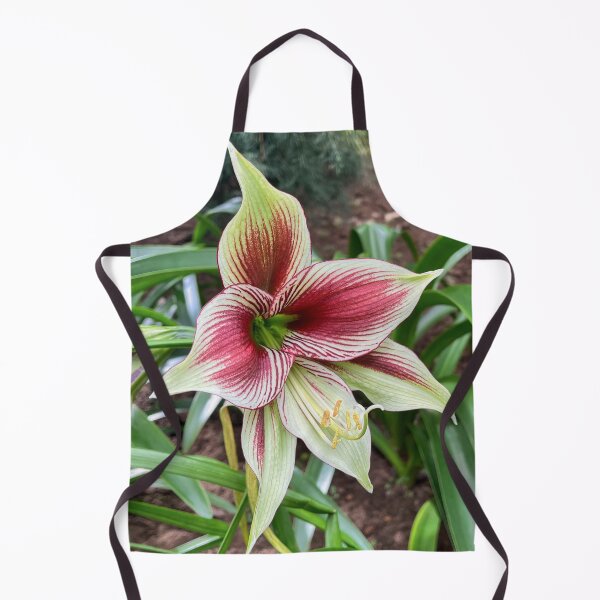 Item preview, Red and White Striped Amaryllis Flower designed and sold by Be Captured by Brittany Emma.