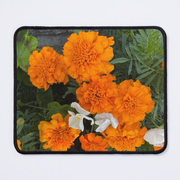 Item preview, Orange marigolds, flowers designed and sold by EleniA8.