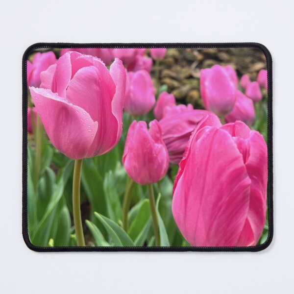 Item preview, Pink Tulips After the Rain designed and sold by Be Captured by Brittany Emma.