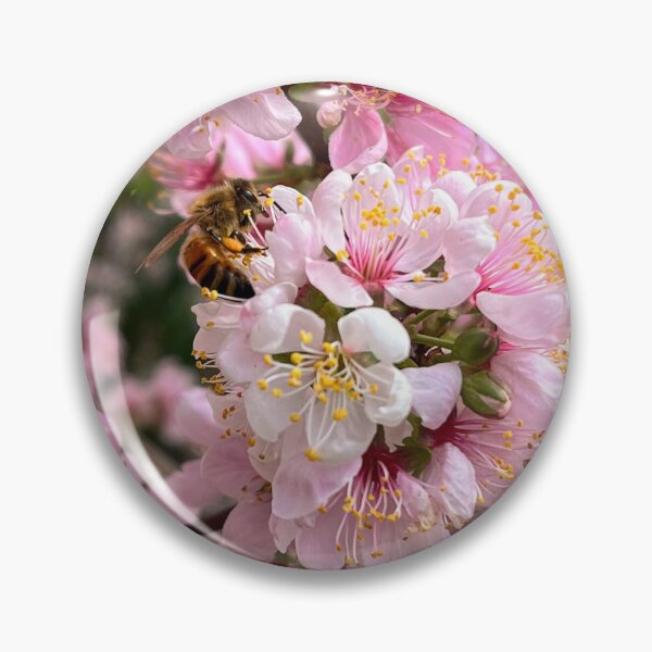 Item preview, Honey Bee Among Pink Cherry Blossoms designed and sold by Be Captured by Brittany Emma.