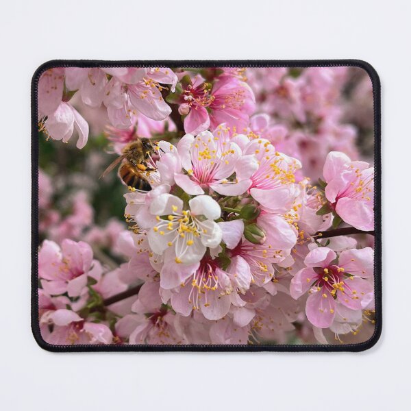 Item preview, Honey Bee Among Pink Cherry Blossoms designed and sold by Be Captured by Brittany Emma.