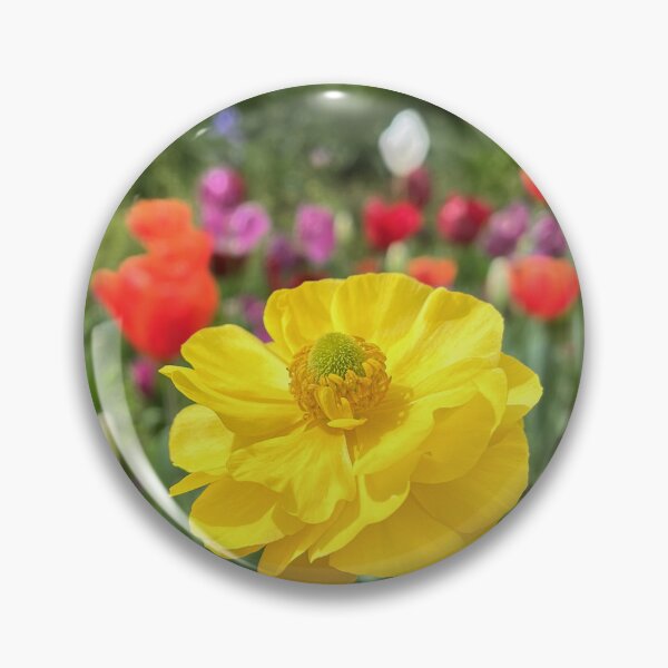 Item preview, Golden Yellow Ranunculus in a Colourful Spring Garden designed and sold by Be Captured by Brittany Emma.