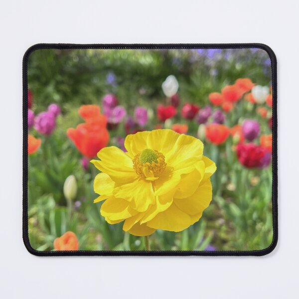 Item preview, Golden Yellow Ranunculus in a Colourful Spring Garden designed and sold by Be Captured by Brittany Emma.