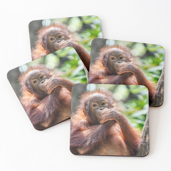 Item preview, Orang Utan 06 designed and sold by photograham.