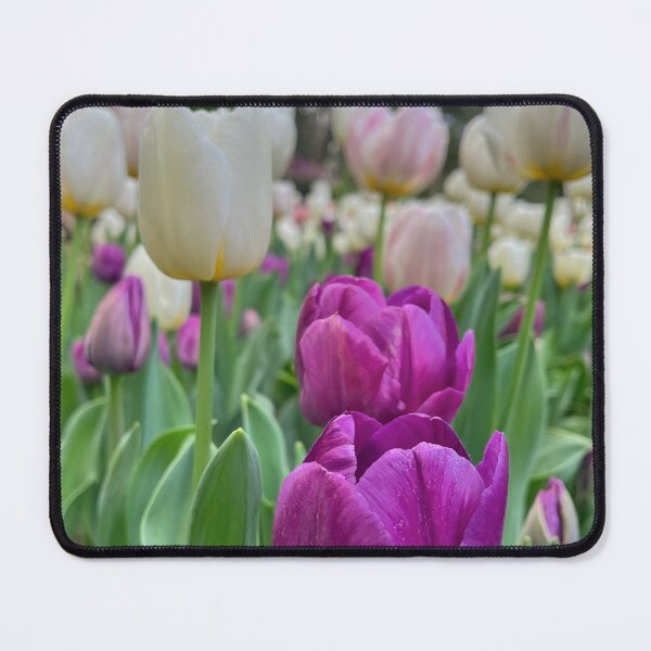 Item preview, Purple and White Tulips in a Spring Garden designed and sold by Be Captured by Brittany Emma.