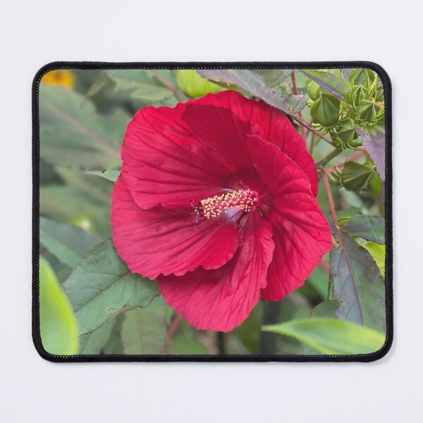 Item preview, Red hibiscus flower designed and sold by EleniA8.