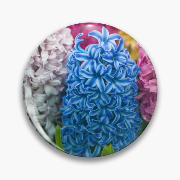 Item preview, Multi colored Hyacinth flowers designed and sold by assaf.