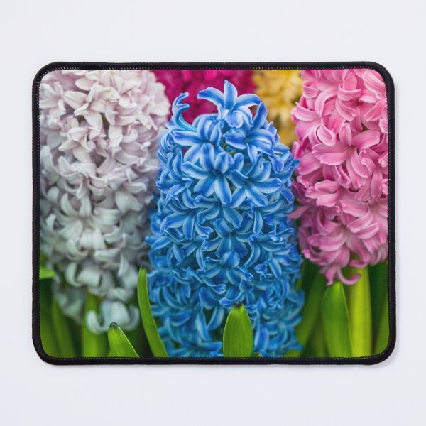 Item preview, Multi colored Hyacinth flowers designed and sold by assaf.