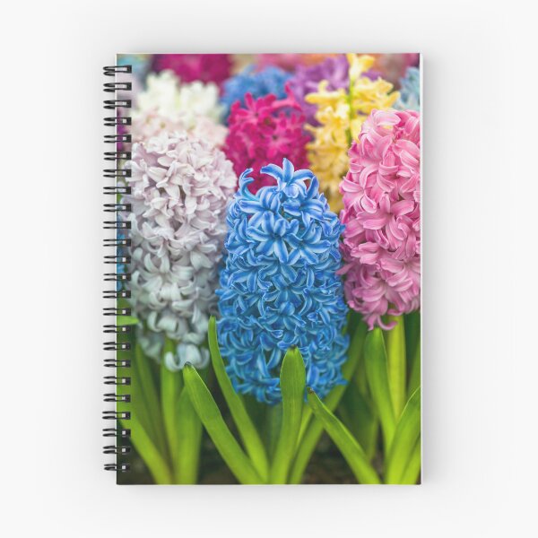 Item preview, Multi colored Hyacinth flowers designed and sold by assaf.