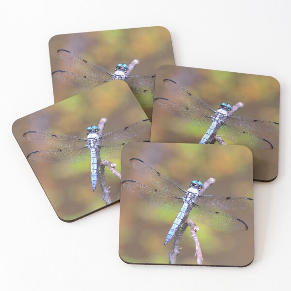 Item preview, Great blue skimmer designed and sold by Parks and X.