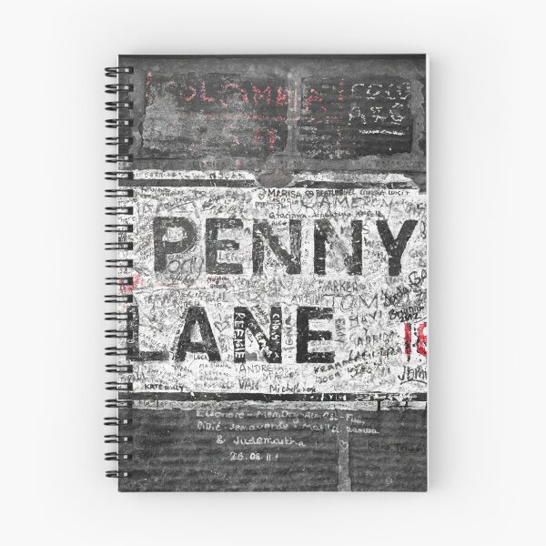 Item preview, Vintage Penny Lane Street Sign designed and sold by assaf.