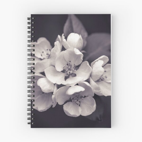 Item preview, Blossom flowers designed and sold by assaf.