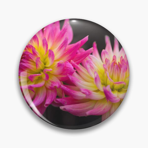 Item preview, Close-up of Dahila flower designed and sold by assaf.