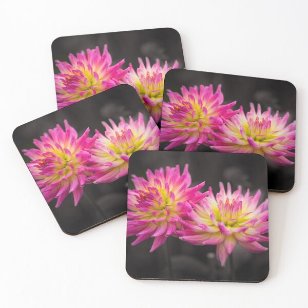 Item preview, Close-up of Dahila flower designed and sold by assaf.