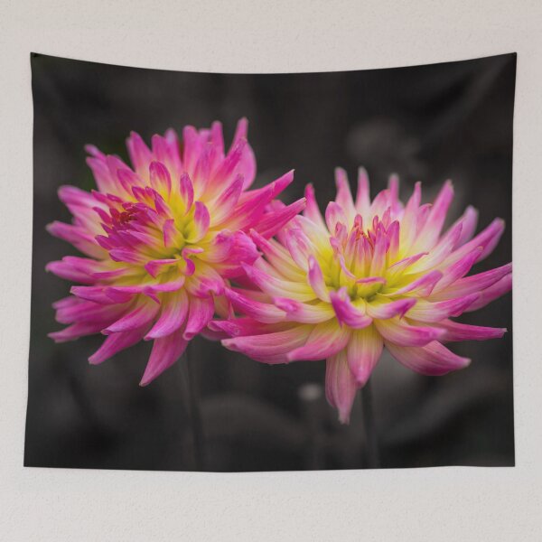 Item preview, Close-up of Dahila flower designed and sold by assaf.