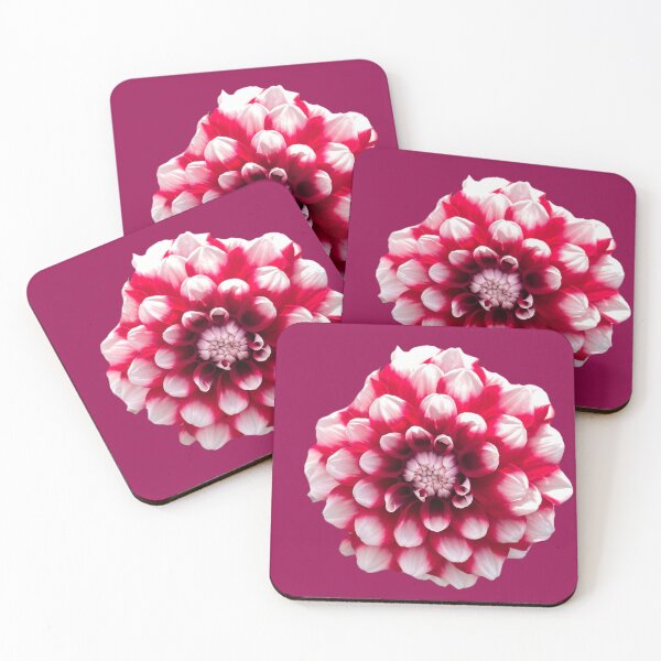 Item preview, Pink and White Dahlia designed and sold by Dutch Flower Lady.