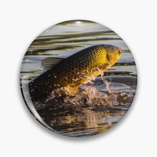 Item preview, Grass Carp Leaping from the Lake designed and sold by gabormedve.