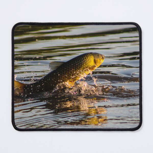 Item preview, Grass Carp Leaping from the Lake designed and sold by gabormedve.
