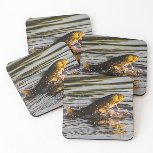 Item preview, Grass Carp Leaping from the Lake designed and sold by gabormedve.