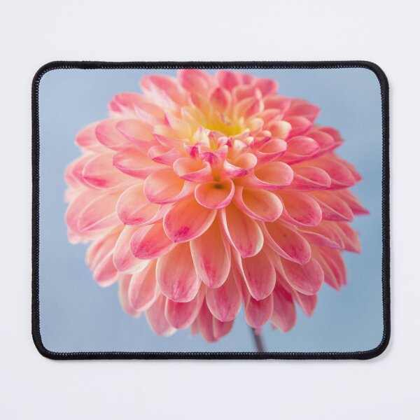 Item preview, Dahlia flower designed and sold by assaf.