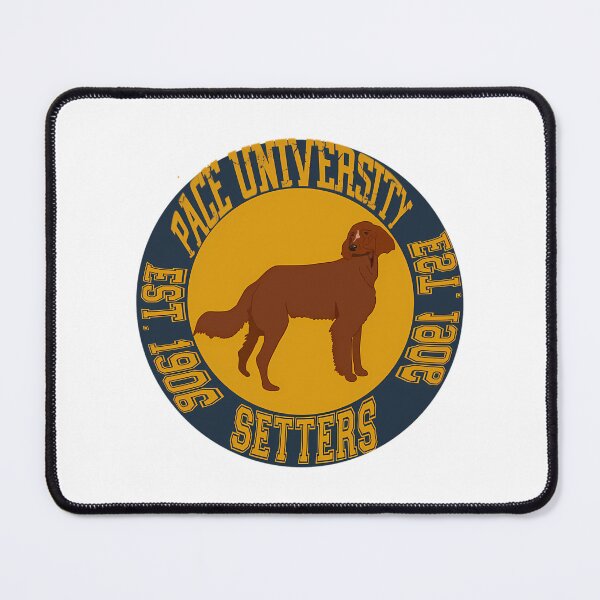 Item preview, Pace University Circle Sticker designed and sold by culp-veronique.