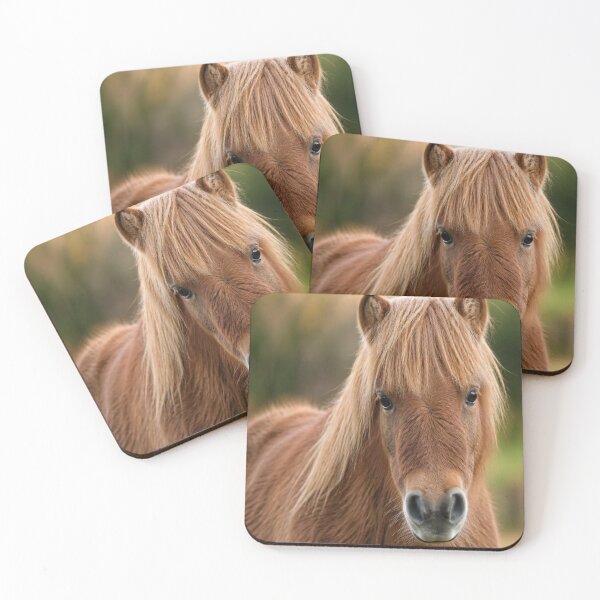 Item preview, Shetland pony designed and sold by Artnovalty.redbubble.com.