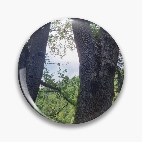 Item preview, Twin Tree Trunks in the Woods designed and sold by ObjectAndNature.