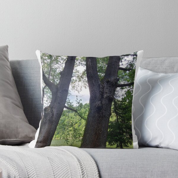 Item preview, Twin Tree Trunks in the Woods designed and sold by ObjectAndNature.