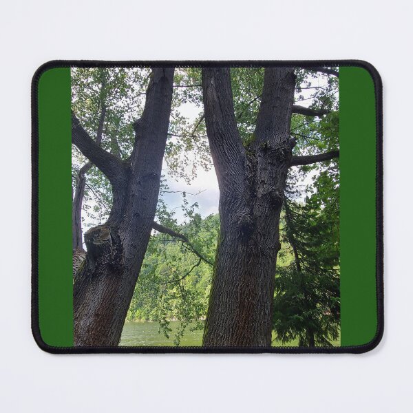 Item preview, Twin Tree Trunks in the Woods designed and sold by ObjectAndNature.