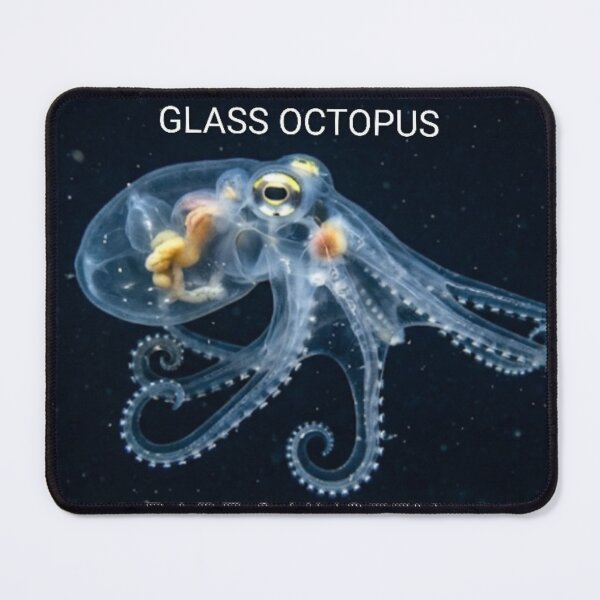Item preview, GLASS OCTOPUS RARE & UNSEEN designed and sold by SodhaIqbalKasam.