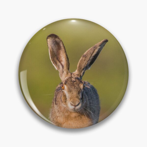 Item preview, European Hare Running Through the Field designed and sold by gabormedve.