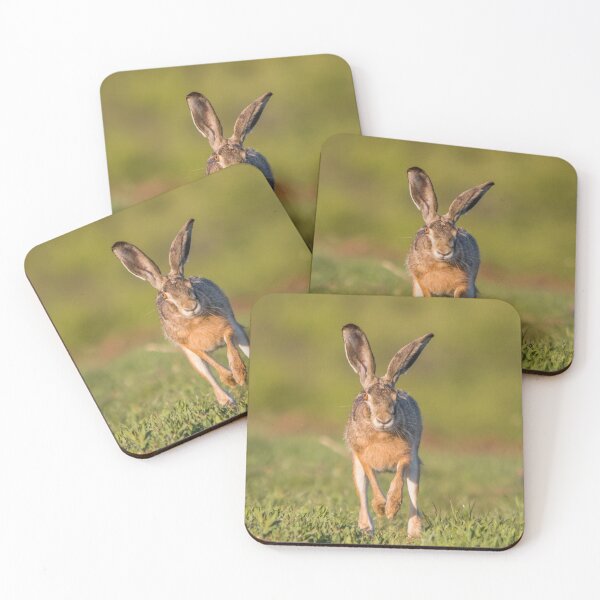 Item preview, European Hare Running Through the Field designed and sold by Medve Photography & Design.