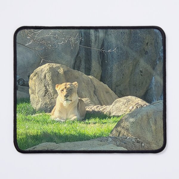 Item preview, Lioness Loaf designed and sold by Creating Curiosity.