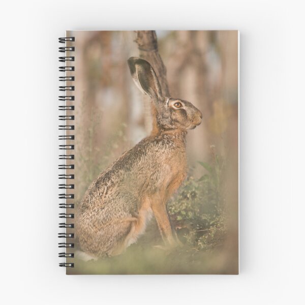 Item preview, European Hare Among the Vines designed and sold by Medve Photography & Design.