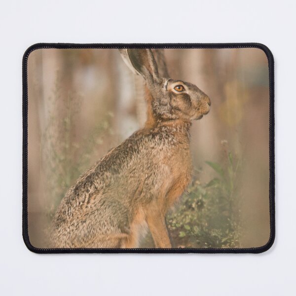 Item preview, European Hare Among the Vines designed and sold by gabormedve.