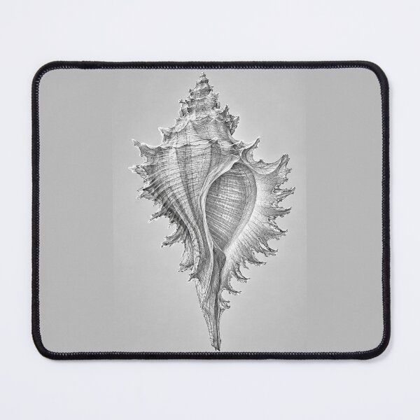 Item preview, Murex Seashell #1 designed and sold by andreisky.