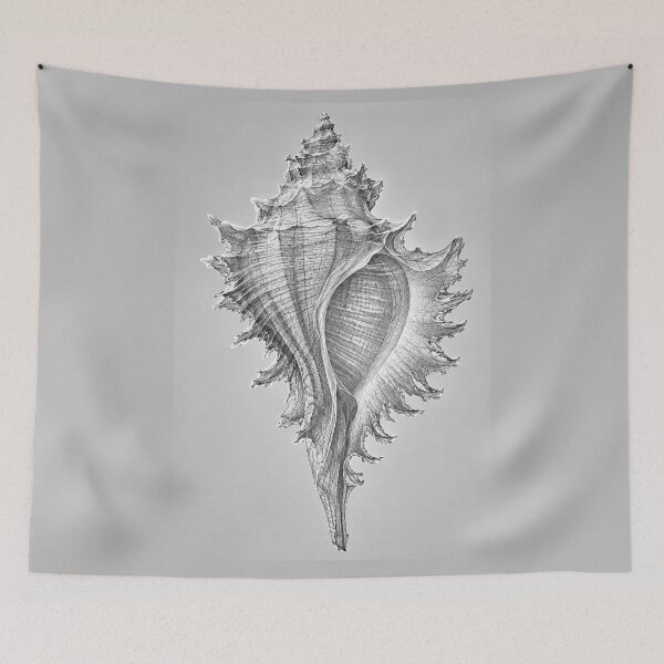 Item preview, Murex Seashell #1 designed and sold by andreisky.