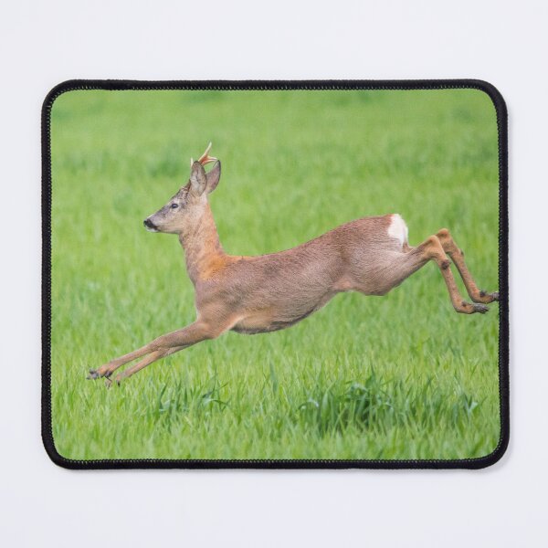 Item preview, Roe Deer in Full Flight designed and sold by gabormedve.