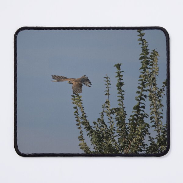 Item preview, Frozen reality - Beautiful nature 1141 designed and sold by deep-sea-birds.