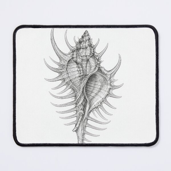 Item preview, Murex Seashell #2 designed and sold by andreisky.