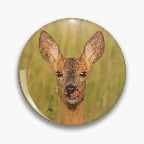 Item preview, Playful Roe Deer in Summer Meadow designed and sold by Medve Photography & Design.