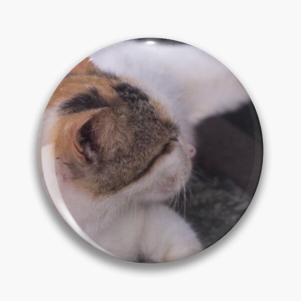 Artikelvorschau, Mama Katze beim Nickerchen entworfen und verkauft von ROSE ANN BANILAR.