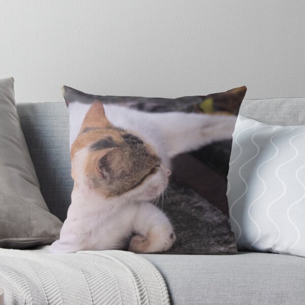 Item preview, Mama Cat Napping designed and sold by ROSE ANN BANILAR.