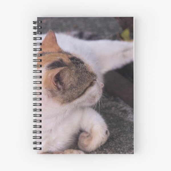 Item preview, Mama Cat Napping designed and sold by ROSE ANN BANILAR.
