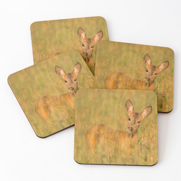 Item preview, Roe Deer Hidden in Summer Grass designed and sold by gabormedve.
