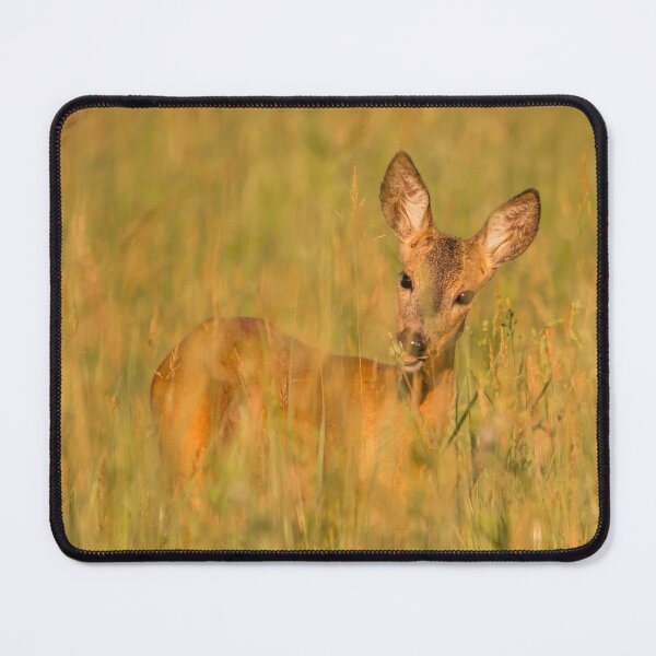 Item preview, Roe Deer Hidden in Summer Grass designed and sold by gabormedve.