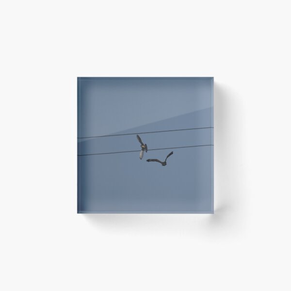 Item preview, Frozen reality - Beautiful nature 1144 designed and sold by deep-sea-birds.